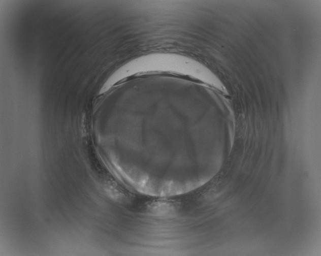 X0000068810224200606021559