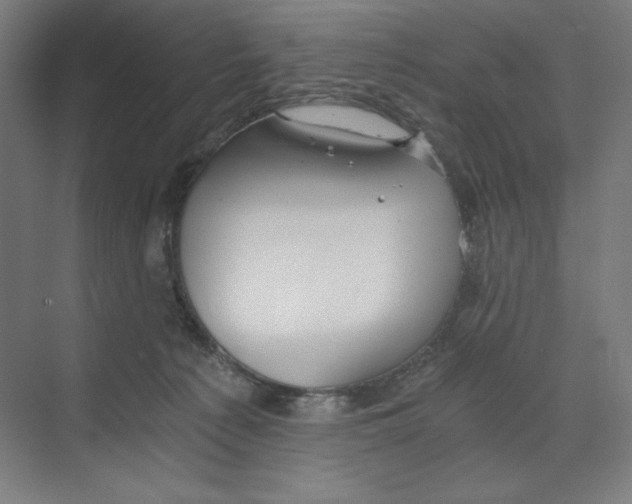 X0000068810225200606021559