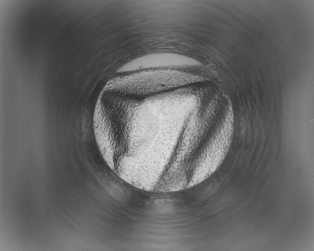 X0000068810228200606021559