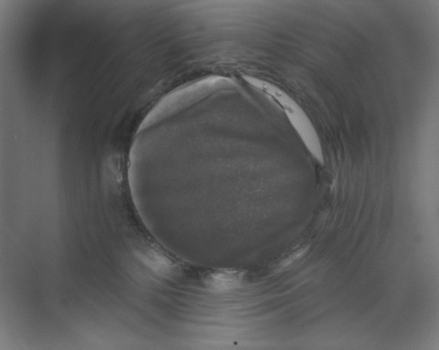 X0000068810232200606021559