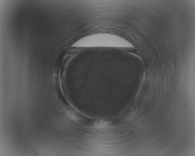 X0000068810235200606021559