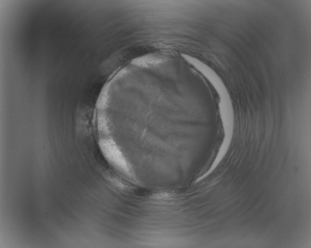 X0000068810237200606021559