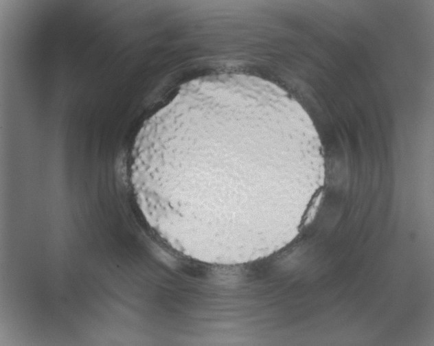 X0000068810238200606021559
