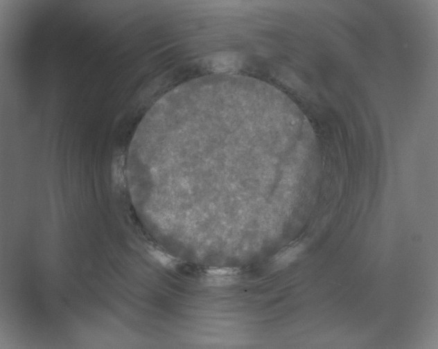 X0000068810240200606021559