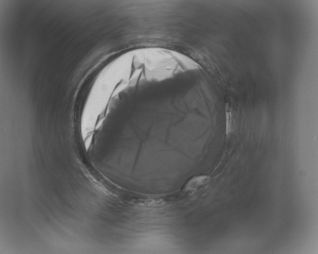 X0000068810243200606021558