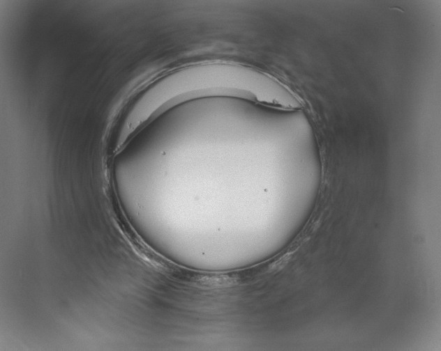 X0000068810245200606021558