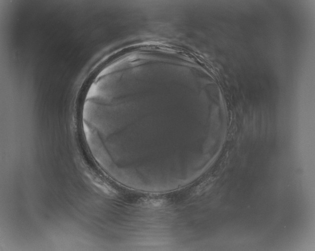 X0000068810247200606021558