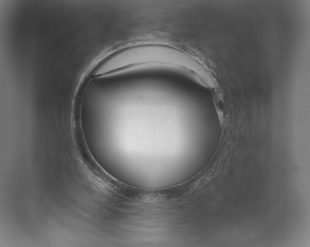 X0000068810248200606021558