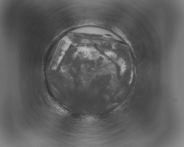 X0000068810249200606021558