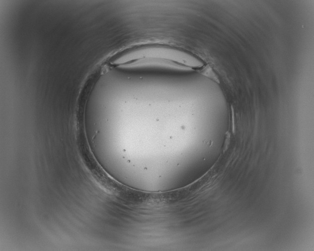 X0000068810252200606021558