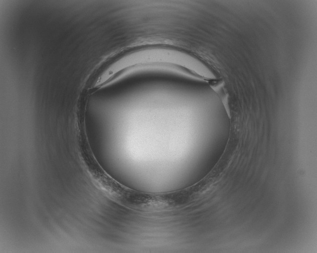 X0000068810256200606021558