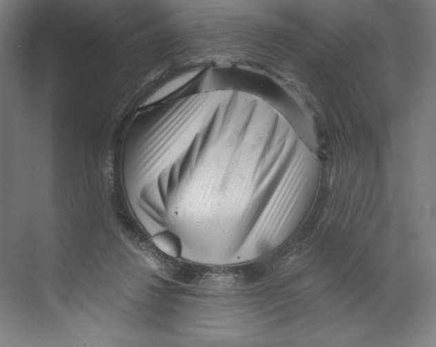 X0000068810260200606021558