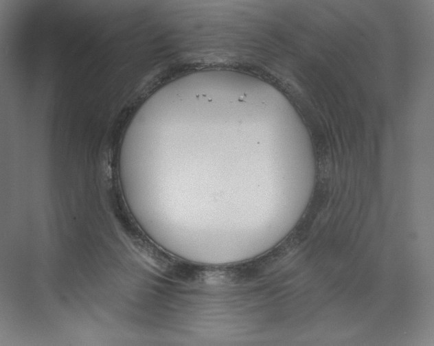 X0000068810264200606021558