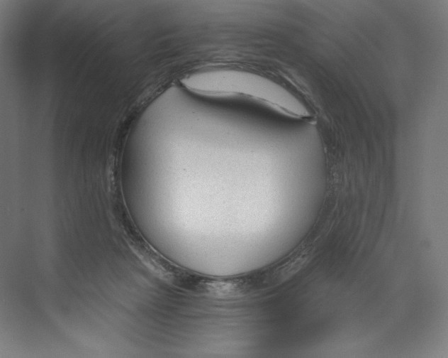 X0000068810265200606021558