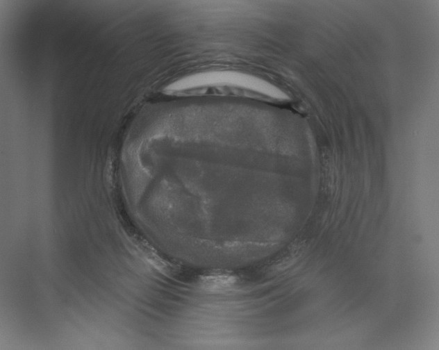 X0000068810266200606021558
