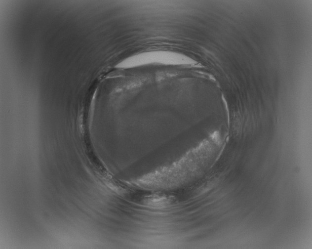 X0000068810267200606021559