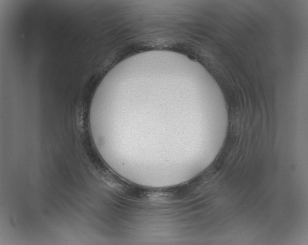 X0000068810268200606021559