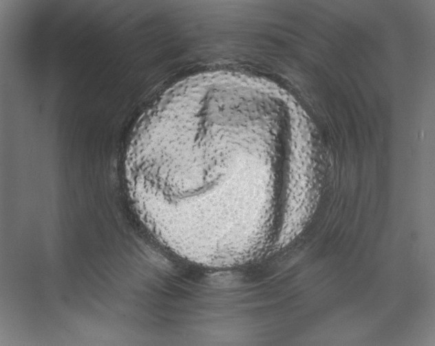 X0000068810269200606021559