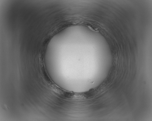 X0000068810270200606021559