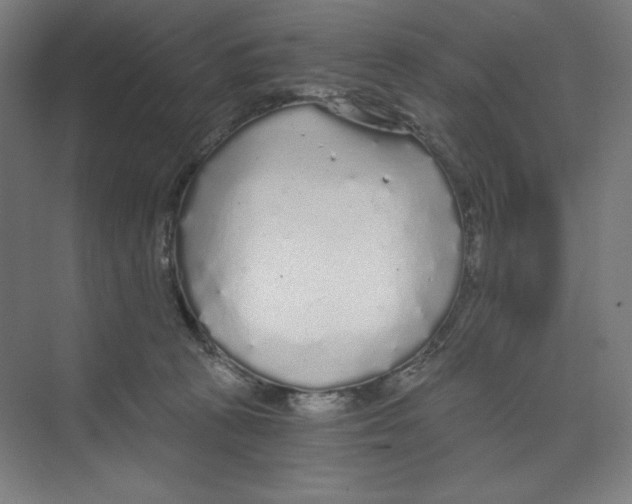 X0000068810273200606021559