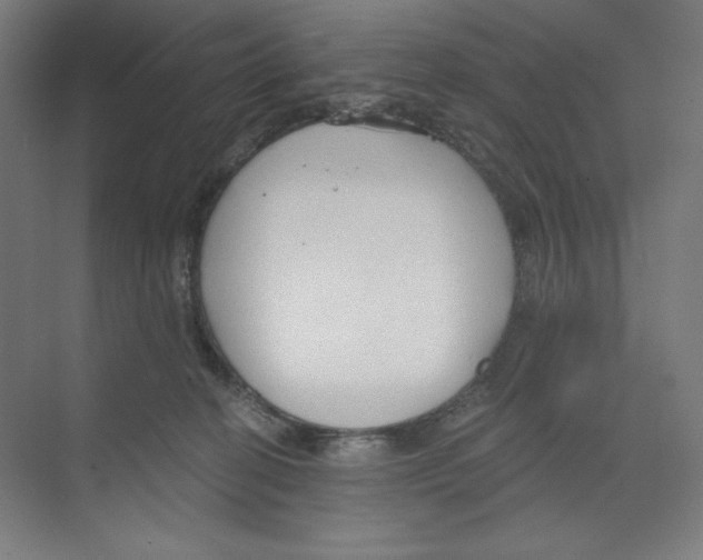 X0000068810274200606021559