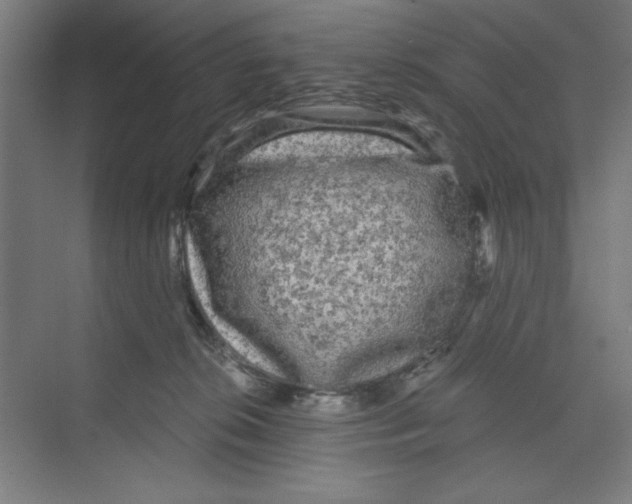 X0000068810276200606021559