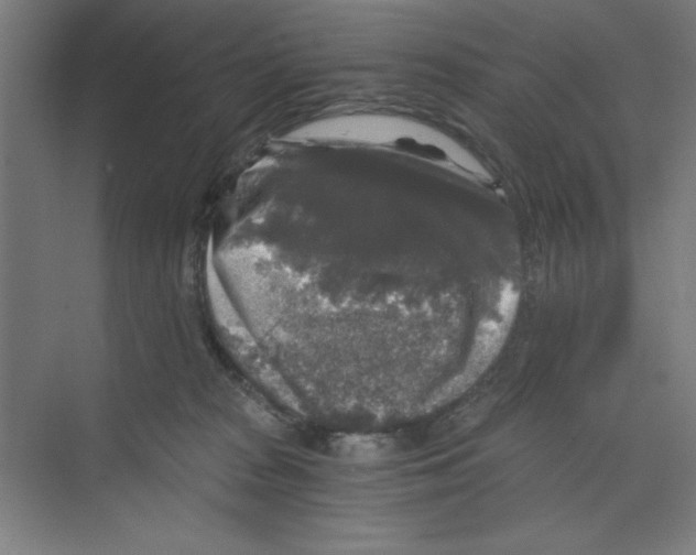 X0000068810277200606021559
