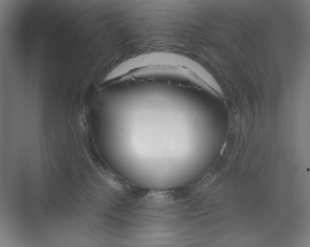 X0000068810280200606021559