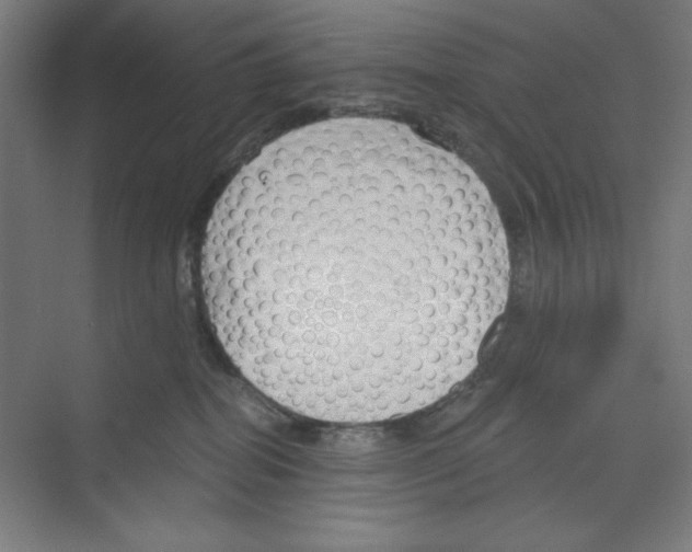 X0000068810282200606021559