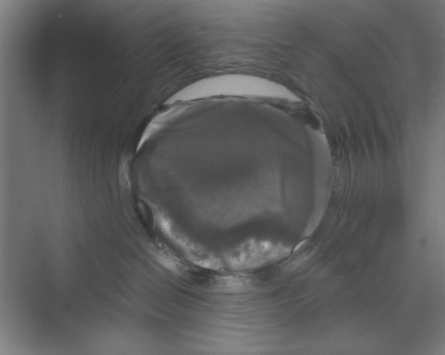 X0000068810286200606021559