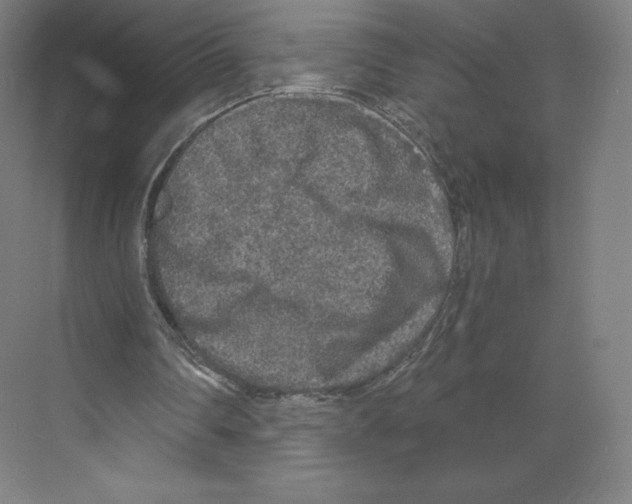 X0000068810290200606021558