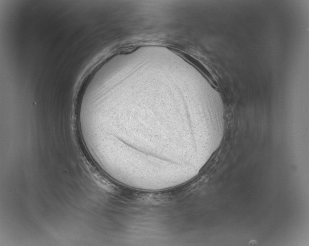 X0000068810293200606021558
