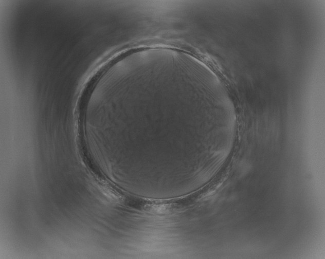 X0000068810295200606021558