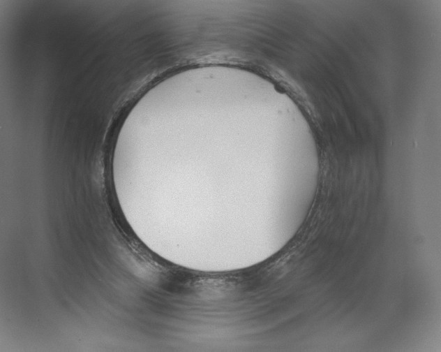 X0000068810298200606021558