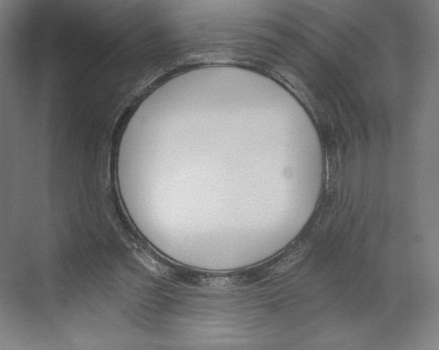 X0000068810301200606021558