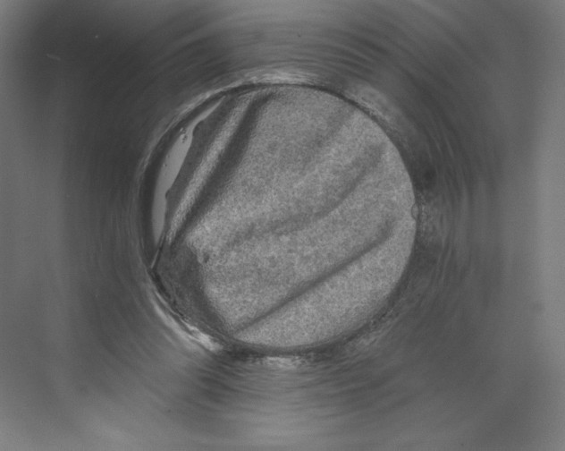 X0000068810302200606021558