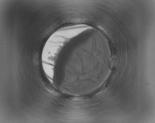 X0000068810303200606021558