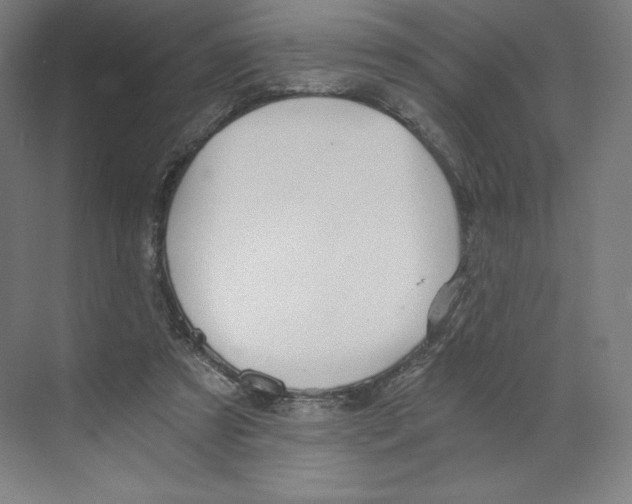 X0000068810305200606021558
