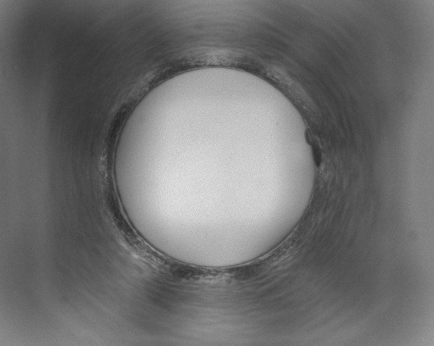 X0000068810306200606021558