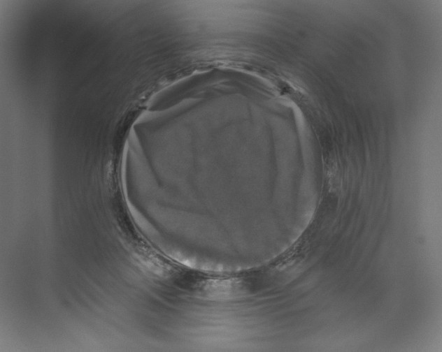 X0000068810314200606021558