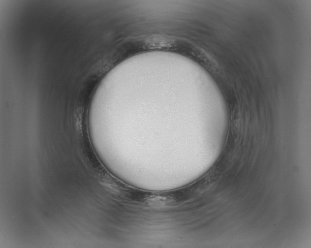 X0000068810315200606021558