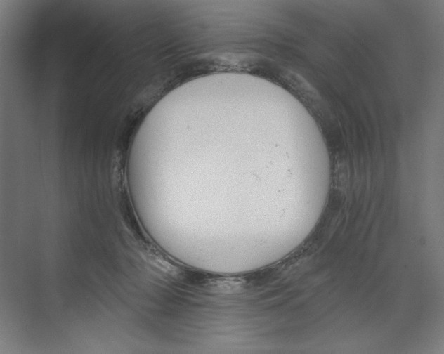 X0000068810318200606021558
