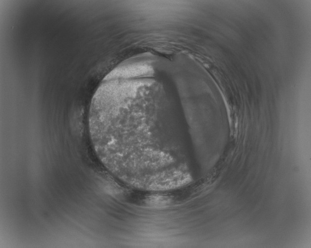 X0000068810319200606021558