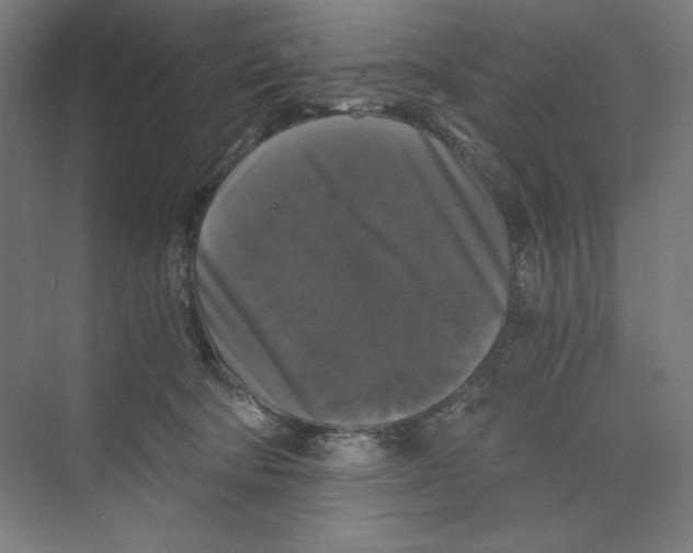 X0000068810322200606021557