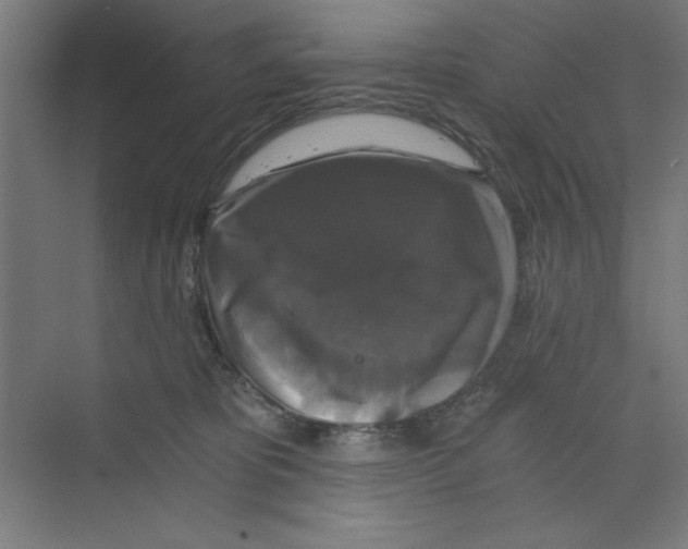 X0000068810325200606021557