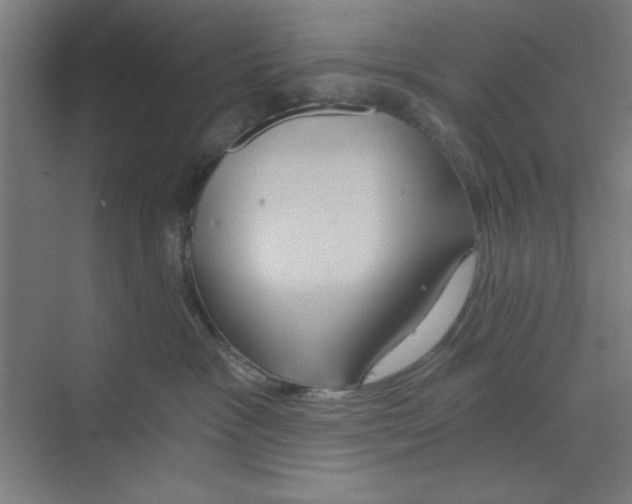 X0000068810333200606021557