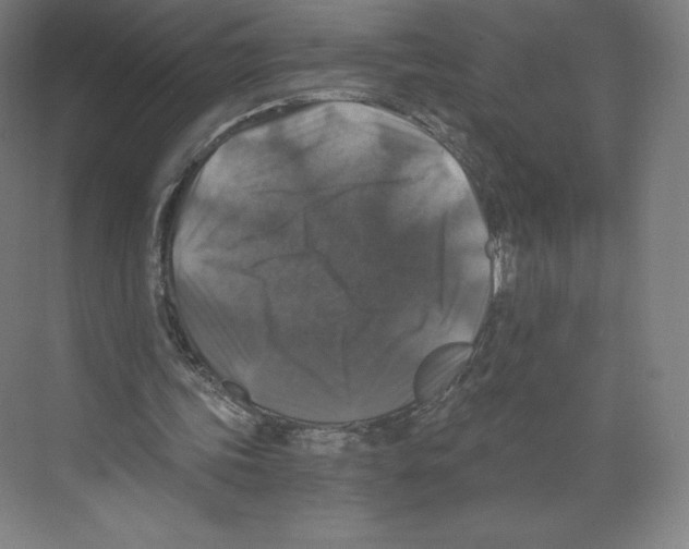 X0000068810339200606021556
