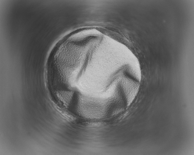 X0000068810342200606021556