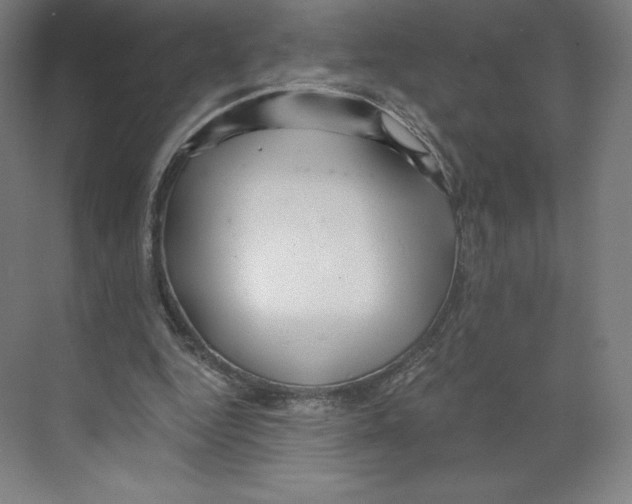 X0000068810344200606021557