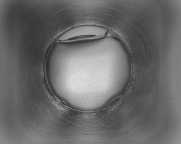 X0000068810345200606021557